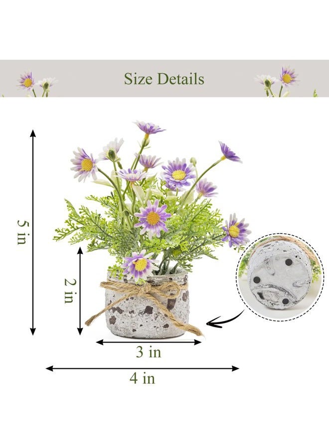 Fuxdre Daisy Artificial Flowers in Cement Vases 2Pcs,Daisies Faux Flowers Farmhouse Home Coffee Table Bookshelf Office Desk Decorations Kitchen Dining Room Fake Plants Indoor(Purple) - Image 2