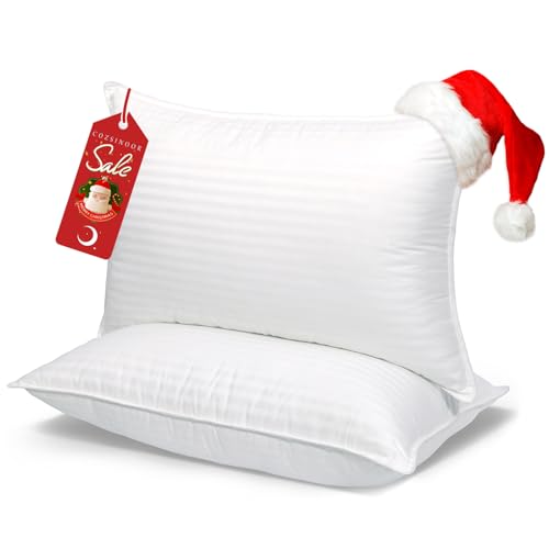 COZSINOOR Bed Pillows for Sleeping Queen Size - Hotel Quality Set of 2 - Breathable Down Alternative Microfiber Filled for Back, Stomach, Side Sleepers, Cooling & Skin-Friendly - Image 1
