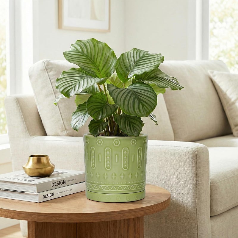 Eightpot Ceramic Flower Pots, 6 Inch Planter for Indoor Plants Outdoor, Round Pots for Plants with Drainage Hole and Tray, Modern Decorative Plant Pot, Bathroom Decor, Green - Image 4