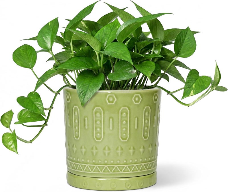 Eightpot Ceramic Flower Pots, 6 Inch Planter for Indoor Plants Outdoor, Round Pots for Plants with Drainage Hole and Tray, Modern Decorative Plant Pot, Bathroom Decor, Green - Image 1