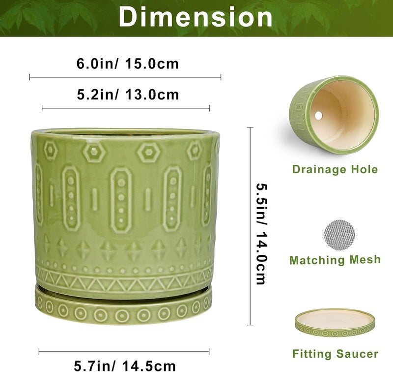 Eightpot Ceramic Flower Pots, 6 Inch Planter for Indoor Plants Outdoor, Round Pots for Plants with Drainage Hole and Tray, Modern Decorative Plant Pot, Bathroom Decor, Green - Image 2