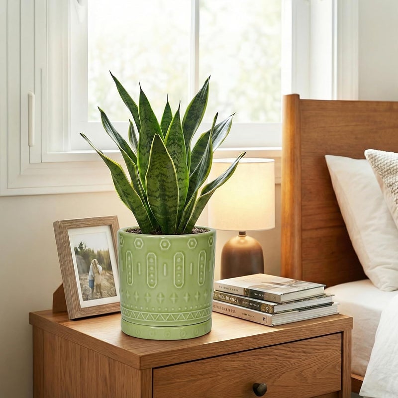 Eightpot Ceramic Flower Pots, 6 Inch Planter for Indoor Plants Outdoor, Round Pots for Plants with Drainage Hole and Tray, Modern Decorative Plant Pot, Bathroom Decor, Green - Image 5