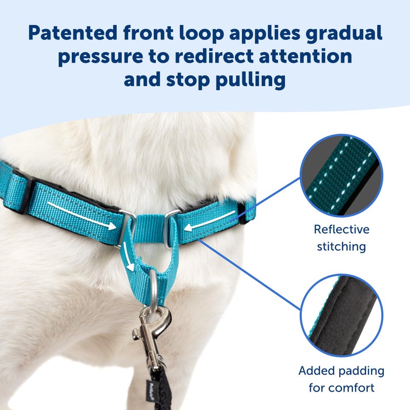 PetSafe Easy Walk Deluxe Dog Harness, No Pull Dog Harness â€“ Perfect for Leash & Harness Training â€“ Stops Pets from Pulling and Choking on Walks â€“ Medium/Large, Steel - Image 4