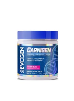 Evogen Nutrition Carnigen L Carnitine Fat Burner Complex Watermelon 50 Servings 70g 