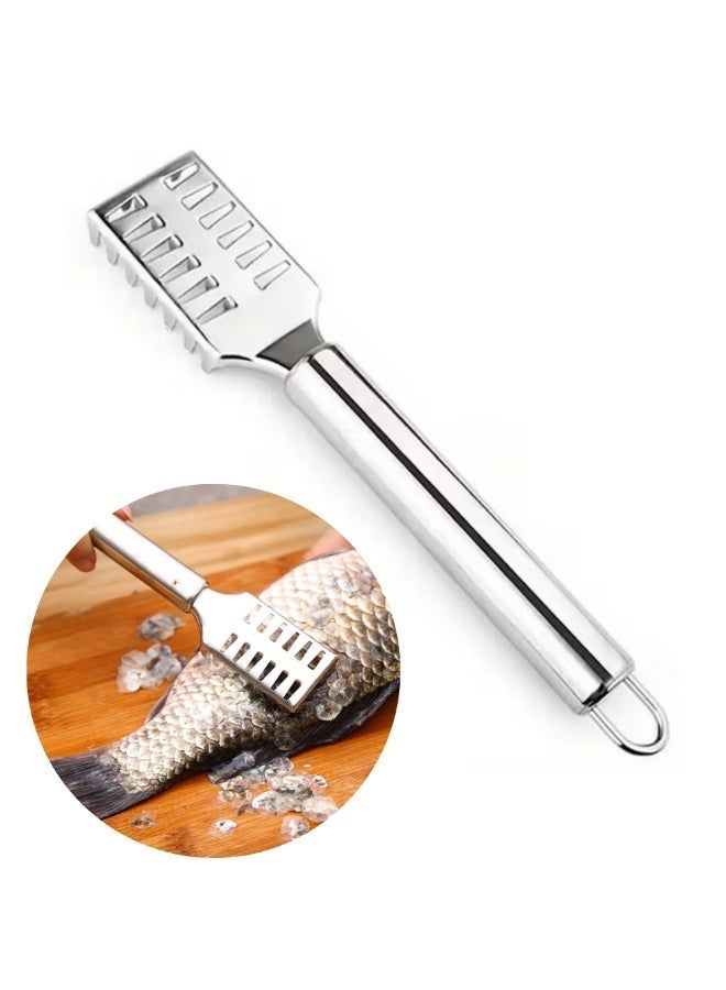 AMM Stainless Steel Fish Scaler Remover – Seafood Scale Scraper Tool for Fast Fish Cleaning - Image 2