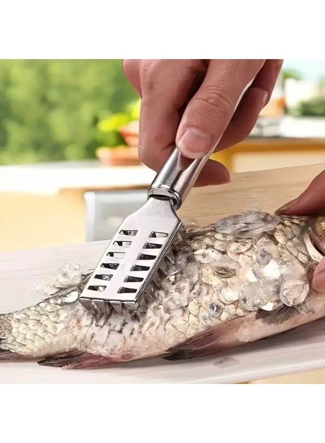 AMM Stainless Steel Fish Scaler Remover – Seafood Scale Scraper Tool for Fast Fish Cleaning - Image 3