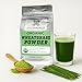Spice Profile USDA Organic Wheatgrass Powder Lab Tested for Heavy Metals Resealable 4oz Pouch Gehun Ka Ghas Hierba de Trigo - Image 4