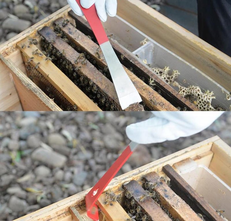WEICHUAN 2PCS Stainless Steel Hive Scraper Tools - Beekeeping Equipment Bee Hive Hand Tool for Beekeeper - Image 4