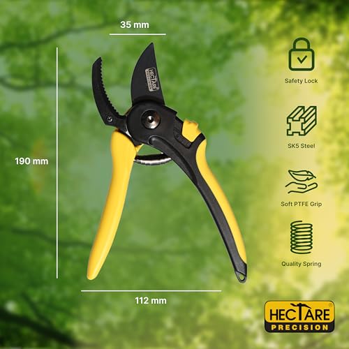 HECTARE Anvil Pruning Secateurs - Heavy Duty Garden Clippers for Dry & Hard Wood, Comfort Grip, Stainless Steel Blades, Ideal for Thicker Branches - Image 3
