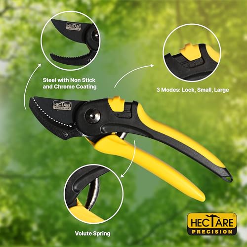 HECTARE Anvil Pruning Secateurs - Heavy Duty Garden Clippers for Dry & Hard Wood, Comfort Grip, Stainless Steel Blades, Ideal for Thicker Branches - Image 4