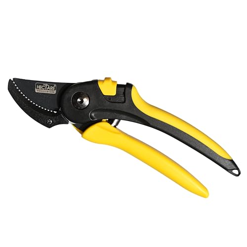 HECTARE Anvil Pruning Secateurs - Heavy Duty Garden Clippers for Dry & Hard Wood, Comfort Grip, Stainless Steel Blades, Ideal for Thicker Branches - Image 1