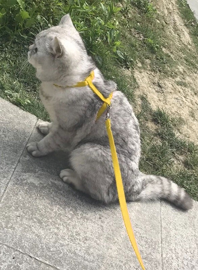MARGOUN Breathable Lightweight Simple Buckle Professional Reusable Portable Cat Leash Harness - Image 2