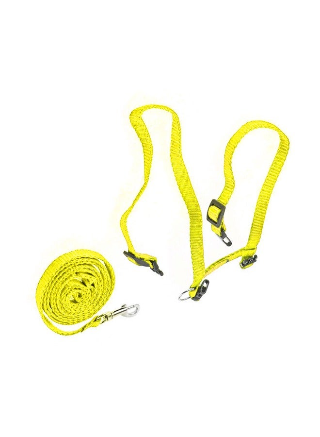 MARGOUN Breathable Lightweight Simple Buckle Professional Reusable Portable Cat Leash Harness - Image 3