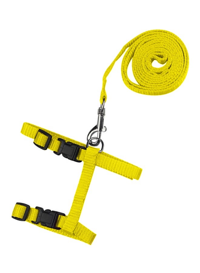MARGOUN Breathable Lightweight Simple Buckle Professional Reusable Portable Cat Leash Harness - Image 4