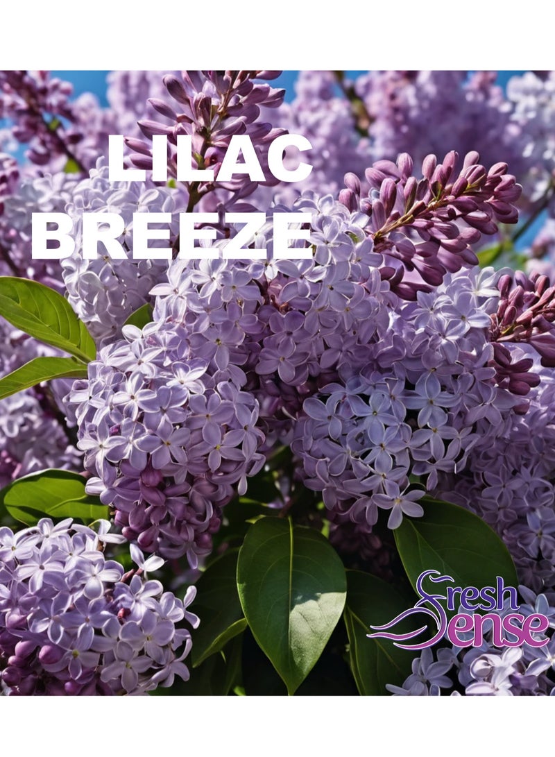 Fresh Sense LILAC Refill - PACK of 12 x 260ml - Automatic Spray Auto Spray Air Freshener for Home Bathroom Toilet Office Neutralizes Bad Odors FRESH SENSE - Image 2