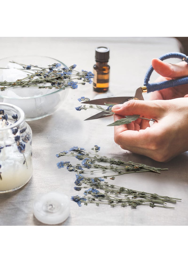 KASTWAVE 100 قطعة زهور طبيعية نسيانني مضغوطة مجففة زهور مجففة حقيقية للراتنج المجوهرات الشموع صنع البطاقات فن الأظافر زهور دي إيه واي ديكور منزلي للحديقة الداخلية الخارجية الشرفة النافذة - Image 4