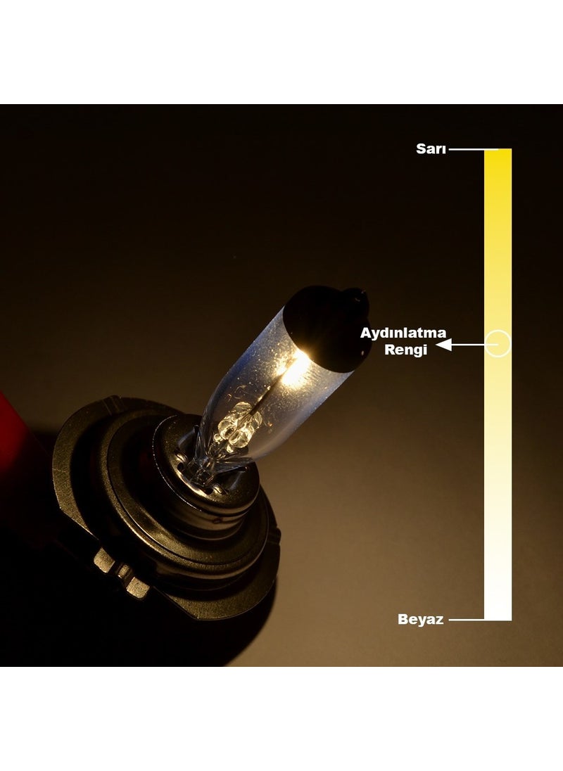 Adam - 12V 55W H7 Standard Headlight Bulb - Image 1