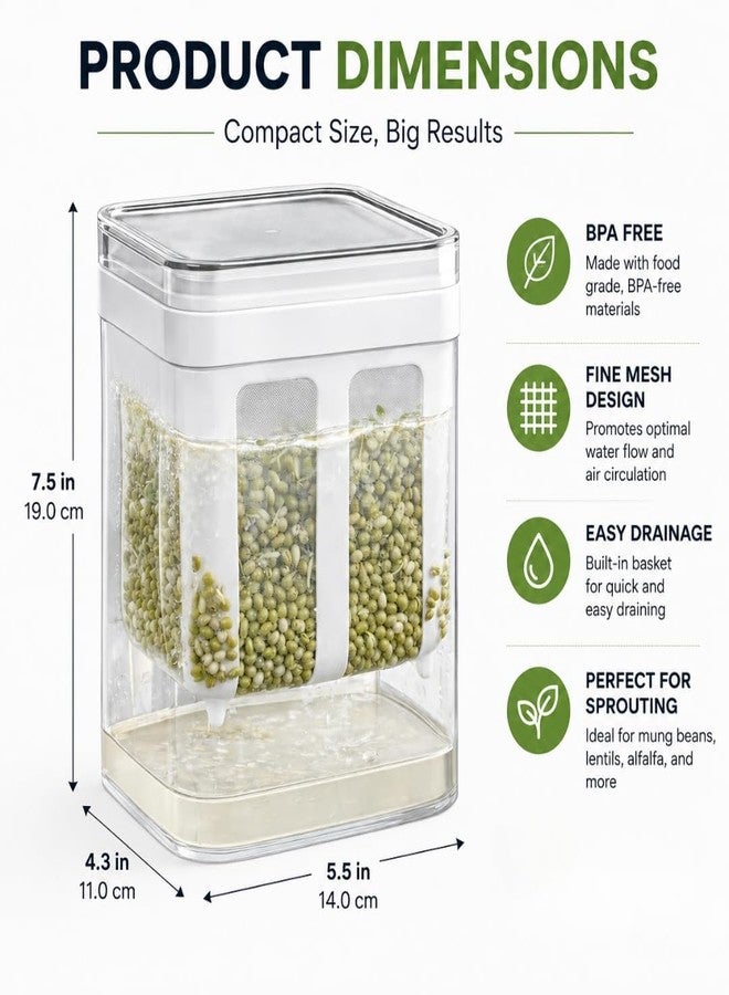 Diablos Sprout Maker for Kitchen, 950 ml - Seed Sprouter Box for Mung Beans, Lentils, Chana and Microgreens, Built In Strainer Airtight Lid, BPA Free Sprouts Maker - Image 4