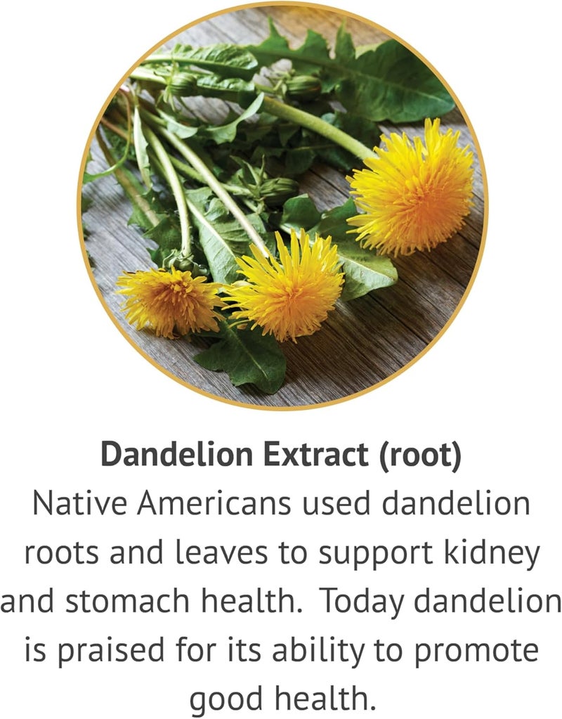 Botanic Choice Dandelion Root Alcohol Free Liquid ExtractTraditional Support for Liver Health Cleanse toxins Aid Digestion1 Fluid Ounce - Image 4
