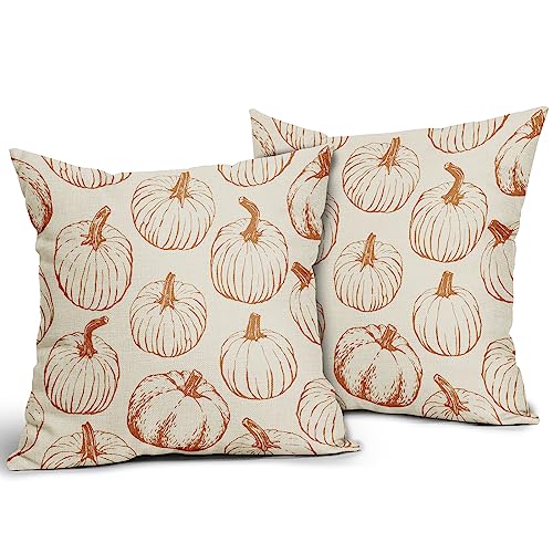 Aytipun Fall Pillow Covers 18x18 Set of 2 Burnt Orange Pumpkin Autumn Thanksgiving Harvest Decorative Throw Pillows Outdoor Cushion Case Sofa Couch Bed Decor - Image 2