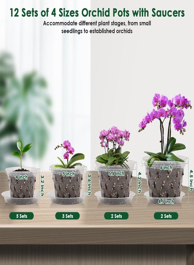 Jollidecor 12 Orchid Pots with Holes and Saucers for Repotting, 4" 5" 5.6" 6" Clear Orchid Pot with Green Orchid Stick Clip, Breathable Slotted Plastic Orchid Planter with Drainage for Root Health Indoor Outdoor - Image 2