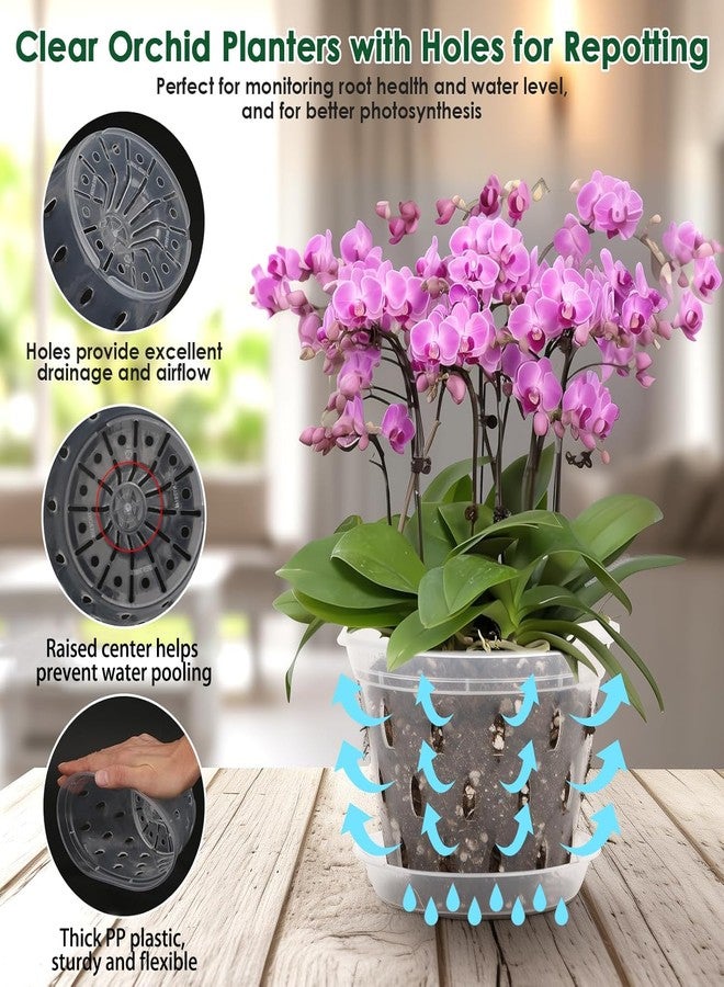 Jollidecor 12 Orchid Pots with Holes and Saucers for Repotting, 4" 5" 5.6" 6" Clear Orchid Pot with Green Orchid Stick Clip, Breathable Slotted Plastic Orchid Planter with Drainage for Root Health Indoor Outdoor - Image 3