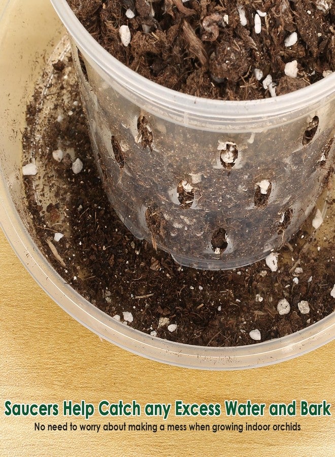 Jollidecor 12 Orchid Pots with Holes and Saucers for Repotting, 4" 5" 5.6" 6" Clear Orchid Pot with Green Orchid Stick Clip, Breathable Slotted Plastic Orchid Planter with Drainage for Root Health Indoor Outdoor - Image 4