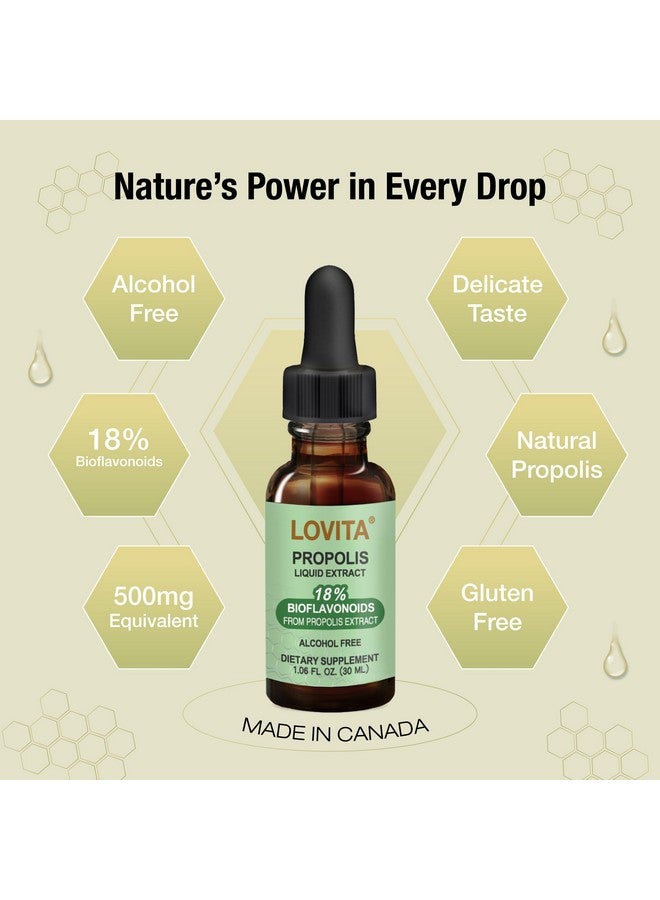 Lovita Bee Propolis 500 mg Liquid Extract | 5:1 Propolis Extract | Alcohol Free | Immune Support | 1 Fl Oz - Image 2