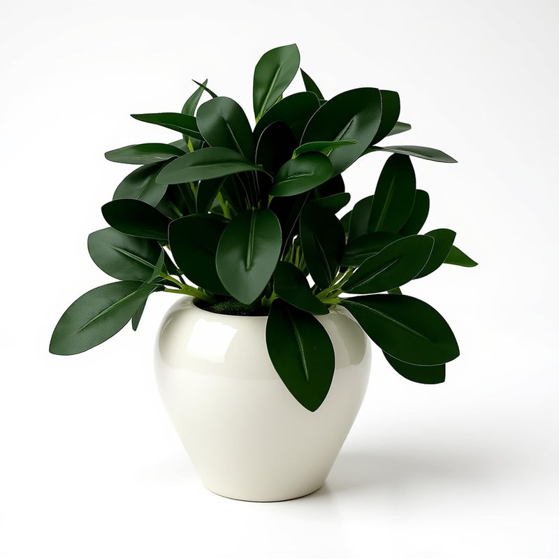 fancymart Plastic Artificial Rubber Plant In 4 Inch White Apple Pot (Height 22 Cm) For Home And Office Decor Plants For Decoration, Realistic Green Decorative For Interior, Evergreen - Image 1