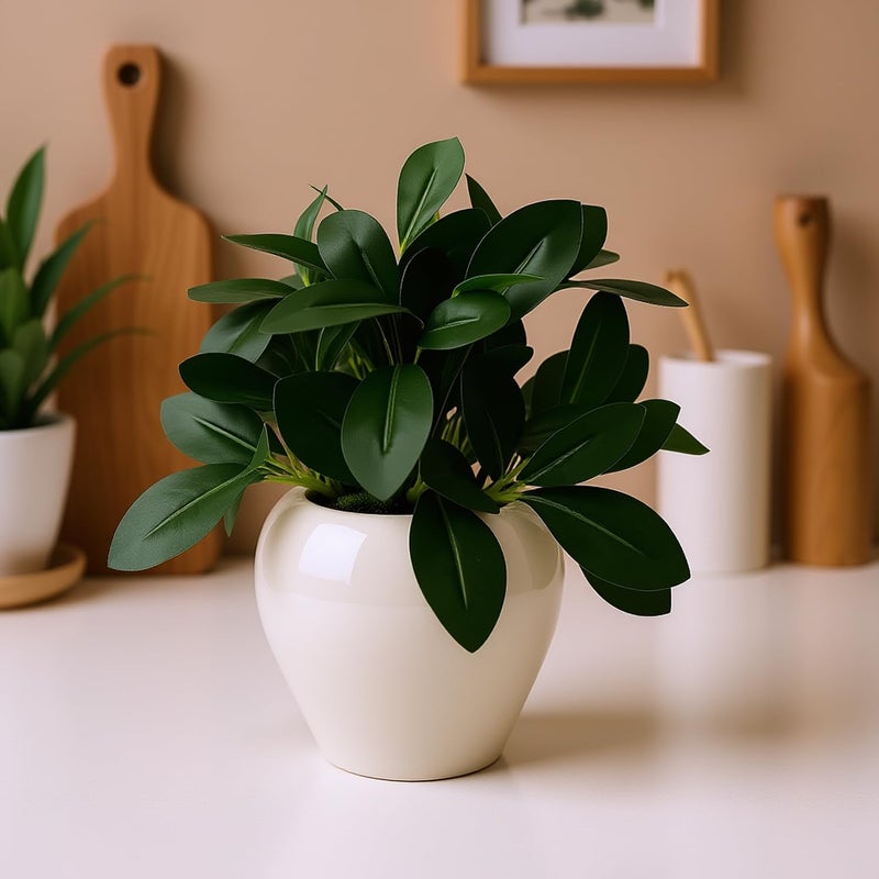 fancymart Plastic Artificial Rubber Plant In 4 Inch White Apple Pot (Height 22 Cm) For Home And Office Decor Plants For Decoration, Realistic Green Decorative For Interior, Evergreen - Image 3
