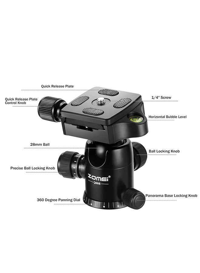 زومي كيو-666 حامل ثلاثي القوائم احترافي، حامل ثلاثي القوائم للكاميرا، حامل ثلاثي القوائم من الألومنيوم خفيف الوزن قابل للطي مع رأس كروي 360 درجة لنيكون كانون سوني جميع كاميرات DSLR ومناظير الكاميرا الرقمية الرقمية ذات العدسة الأحادية العاكسة - Image 4