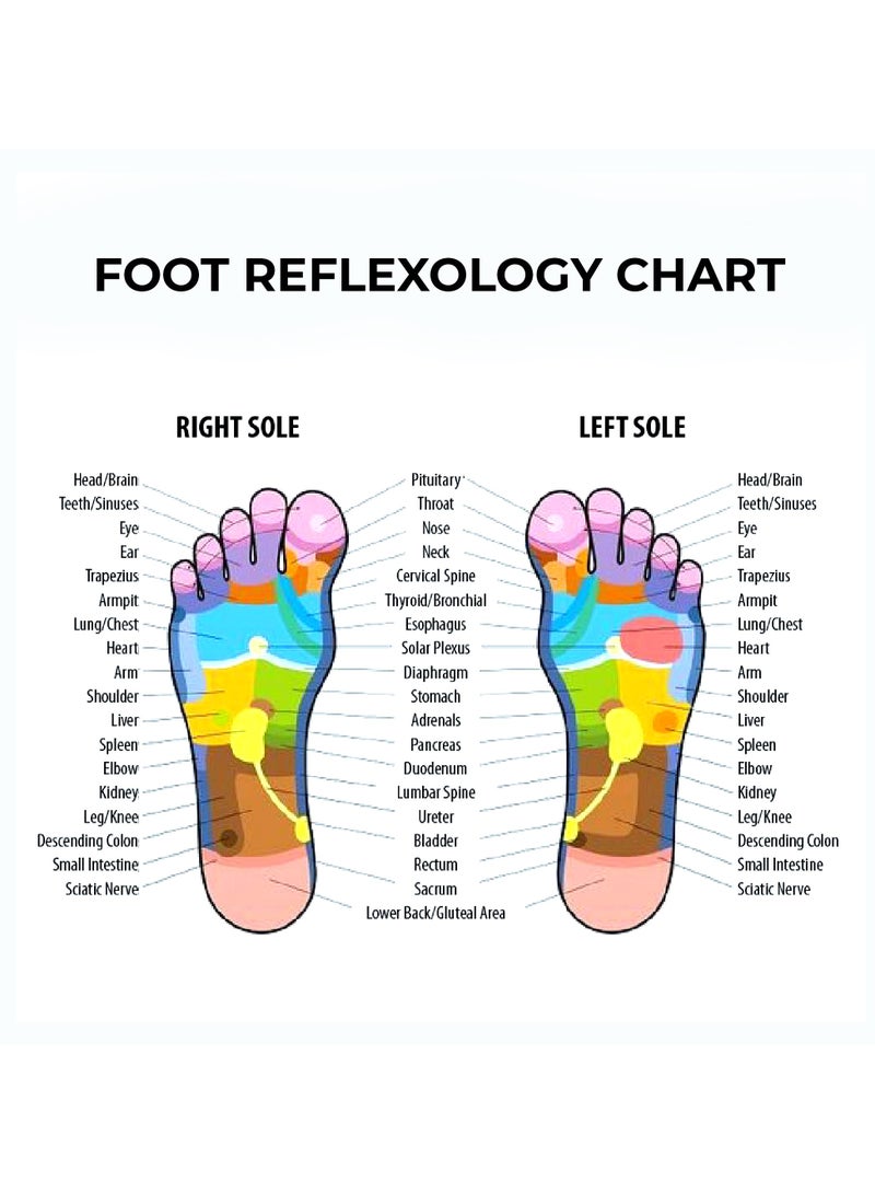 زيرو_بيوند_ويلنيس يوفر جهاز تدليك القدم الكهربائي D-Queen Spa من Zero Healthcare مع تقنية الأسطوانة ثلاثية الأبعاد المتقدمة تدليك شياتسو والعلاج الحراري لتهدئة الأقدام والساقين المتعبة - Image 3