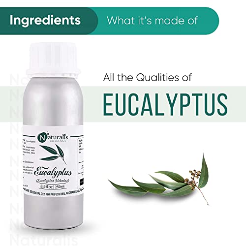 Naturalis Eucalyptus Oil – Pure Eucalyptus Essential Oil for Aromatherapy, Skin & Hair Care, Massage, Steam Inhalation, and Diffuser – Therapeutic Grade - 250ml - Image 2