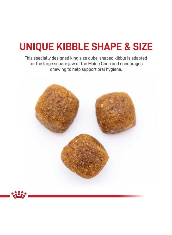 Royal Canin Maine Coon Breed Adult Dry Cat Food, 6 lb bag - Image 2