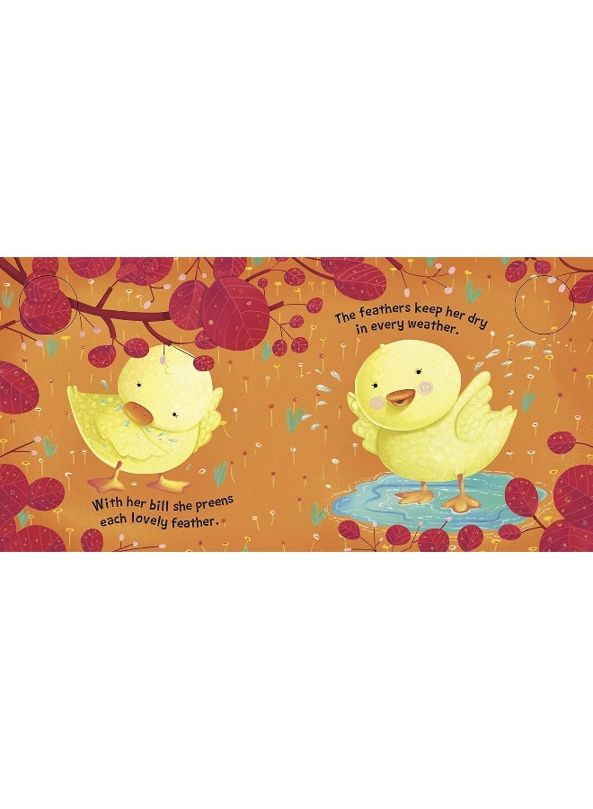 SOUND BOOK DUCK - Image 4
