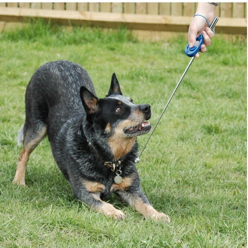 Company of Animals Multi-Clicker, Adjustable Volume, Loud and Quiet Clicks, Easy to Click, Wrist Strap, For all Dogs Including Sensitive Dogs and Puppies - Image 4