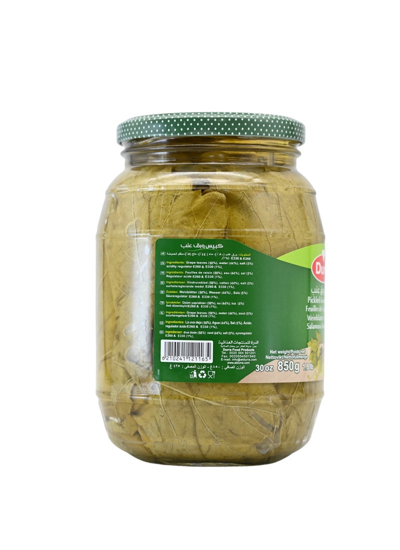 Durra ورق عنب مخلل - Image 2
