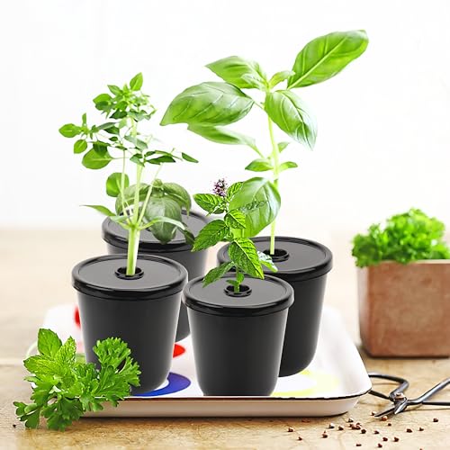Kiicii Kratky Method Hydroponic Planter Kit, 8 Hydroponic Planter Plus 24 Growing Sponges for Herbs, Hydroponic Mini Buckets for Windowsill Herb Garden, Hydroponic Growing System for Vegetables (Black) - Image 2