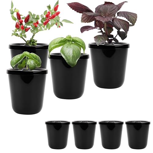 Kiicii Kratky Method Hydroponic Planter Kit, 8 Hydroponic Planter Plus 24 Growing Sponges for Herbs, Hydroponic Mini Buckets for Windowsill Herb Garden, Hydroponic Growing System for Vegetables (Black) - Image 1