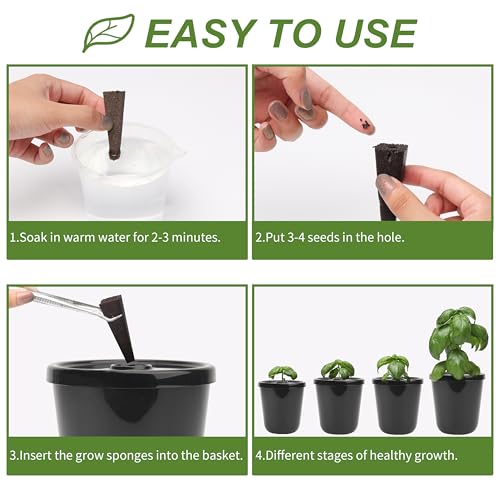Kiicii Kratky Method Hydroponic Planter Kit, 8 Hydroponic Planter Plus 24 Growing Sponges for Herbs, Hydroponic Mini Buckets for Windowsill Herb Garden, Hydroponic Growing System for Vegetables (Black) - Image 3