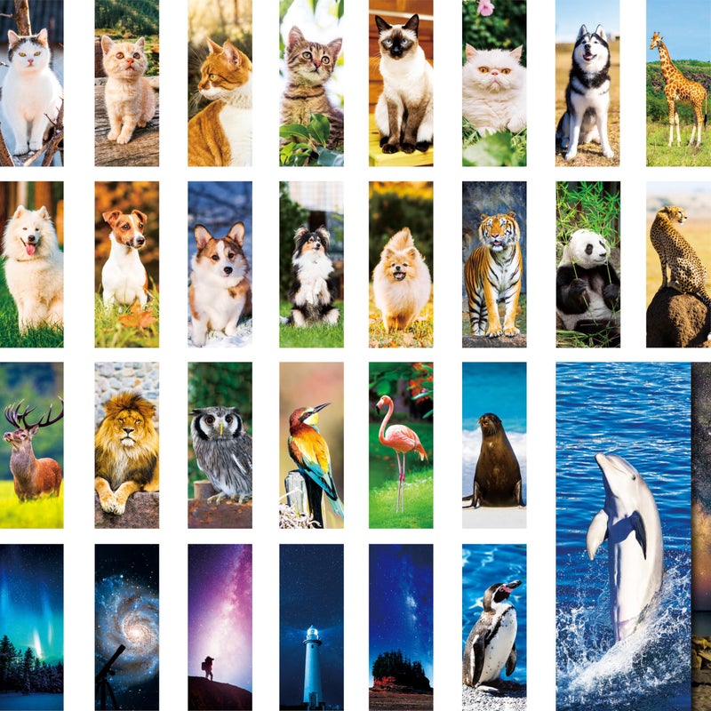 Gethelud 120 PCS Animal Bookmarks, 30 Designs Double-Sided Printing Paper Bookmarks with PET Film, Cat/Dog/Galaxy/Wild Animals for Kids, Students, Adults, Book Lovers (2.4â€ x 6.1â€) - Image 1
