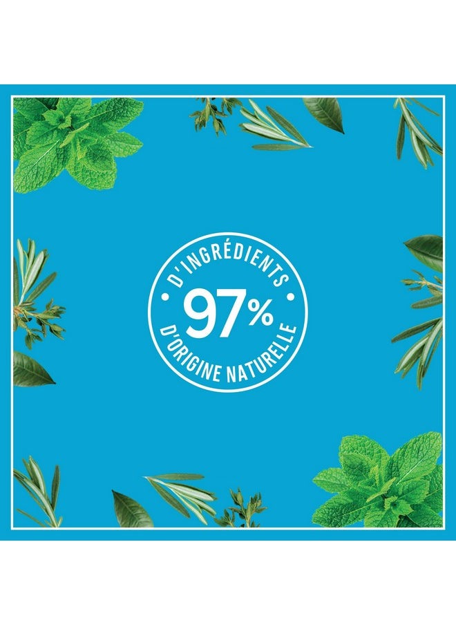 LE PETIT MARSEILLAIS Shampoo Anti Dandruff Mint Essential Oil  - Image 5