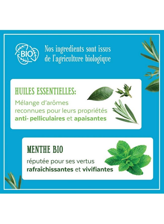 LE PETIT MARSEILLAIS Shampoo Anti Dandruff Mint Essential Oil  - Image 4