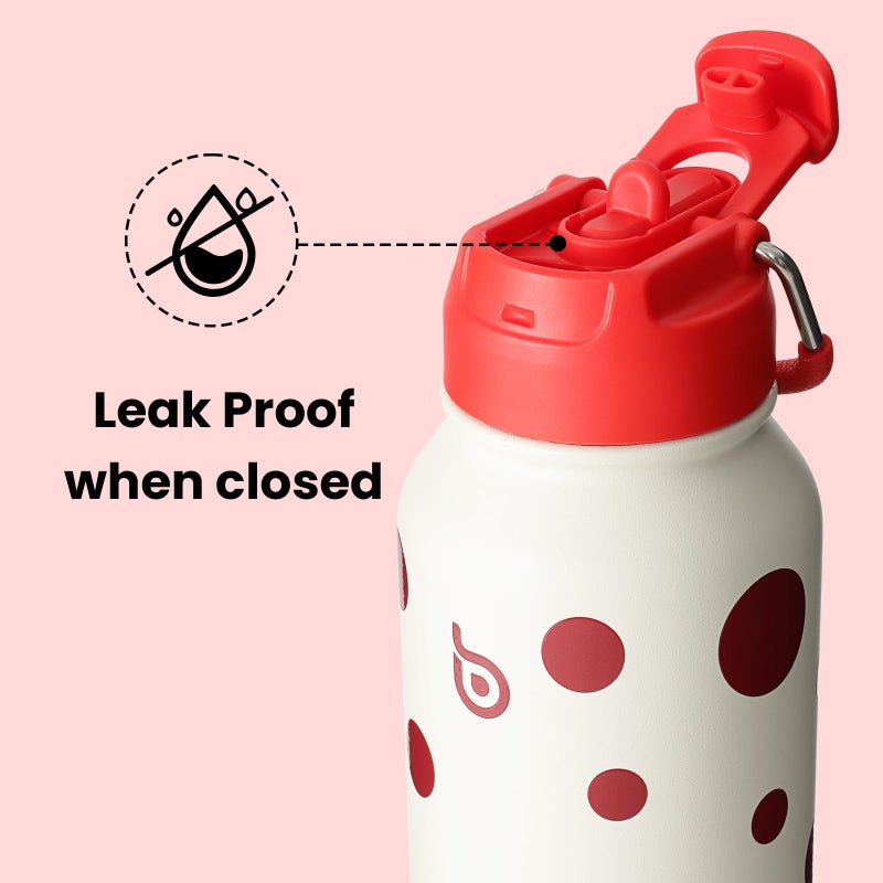 BOTTLE BOTTLE 32oz Insulated Water Bottle Stainless Steel Sport Water Bottle with Straw Dual-use Lid Design for Gym with Pill Box (Polka Pop) - Image 4
