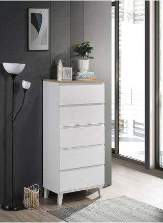 صدر كولتورب بلس مكون من 5 أدراج مع أرجل 40x114.5x70 سم - pzsku/Z16AD881FE2110A258265Z/45/_/1686747462/62000034-c4e3-4fe5-a1bb-7be556491826