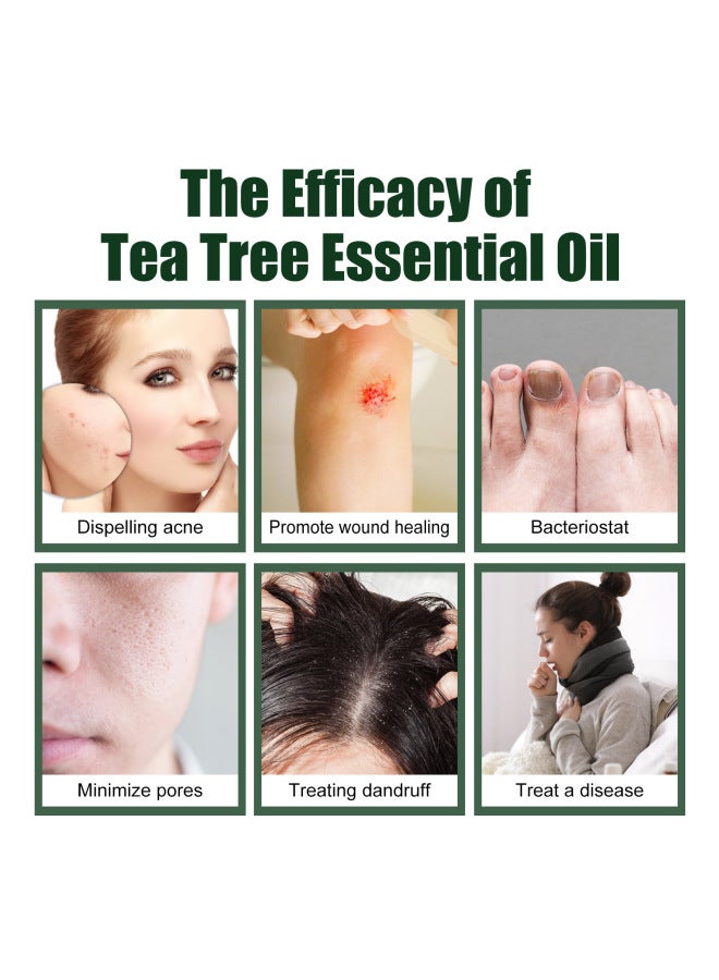 EELHOE Tea Tree Massage Essential Oil Repair Hair Moisturizing Facial Skin Hydrating Skin Essence - Image 2