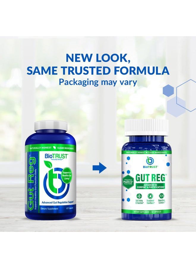 BioTrust Gut Reg Supports a Healthy Gut Lining, Helps Restore Gut Health and Helps Relieve Occasional GI Discomfort with PepZin GI, L-Glutamine and Ginger Extract, Non-GMO, Gluten-Free (60 Capsules)  - Image 2