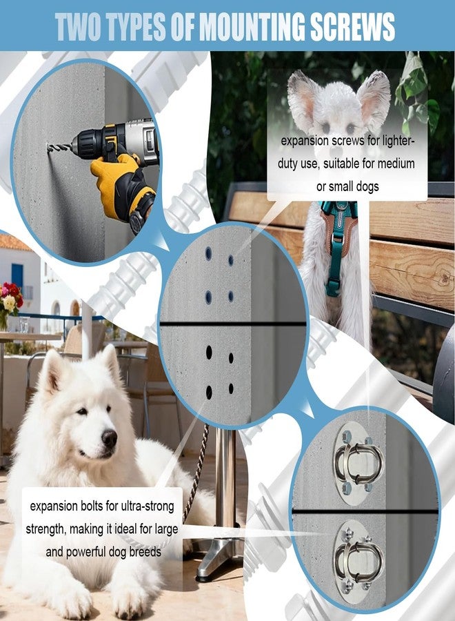 La La Pet Dog Leash Holder for Wall Heavy Duty Rotating Pet Leashes Hook Stainless Steel Lead Management Tie Out Spot for Extra Large Dogs Easy to Install Indoor & Outdoor Use - Image 4