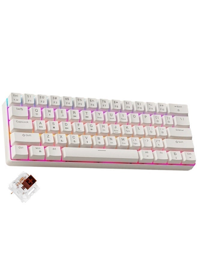 Eweadn G61 60% Gaming Mechanical Keyboard - Rainbow LED Lighting - Anti-Ghosting, Detachable USB-C, Double-Shot Keycaps, 61 Keys Ultra-Compact - Image 1