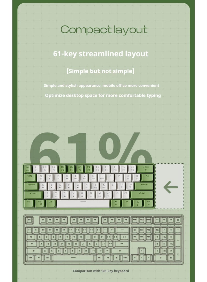 Eweadn G61 60% Gaming Mechanical Keyboard - Rainbow LED Lighting - Anti-Ghosting, Detachable USB-C, Double-Shot Keycaps, 61 Keys Ultra-Compact - Image 3